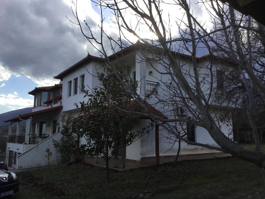 Villa_Kleio Litochoron Bagian luar foto